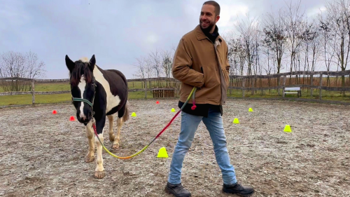 White Hors – Lóval asszisztált egyéni coaching 1