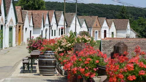Bor, Relax és Wellness –  Bormámoros pihenés kettesben Villánykövesden 2