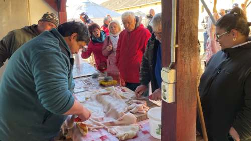 Disznótoros nap zalai módra! – a Garabonciás Farmon, Zalakaros mellett 1