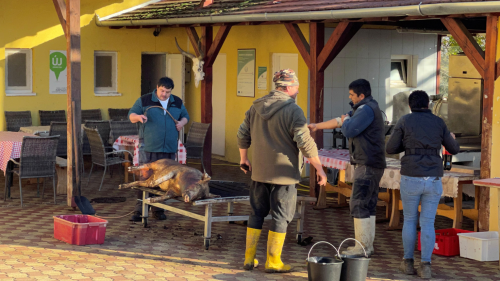 Disznótoros nap zalai módra! – a Garabonciás Farmon, Zalakaros mellett 5
