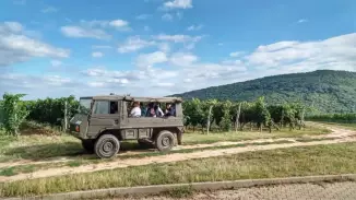 Kalandtúra katonai Pinzqauer terepjárón a Palkonyai szőlőhegyen