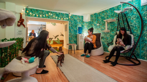 Apa - lánya közös élmény a Cat Museumban 2