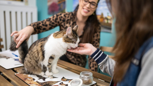 Apa - lánya közös élmény a Cat Museumban 5