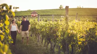 Lazítós kiruccanás kettesben a Villányi Borvidéken, Villánykövesden kosár