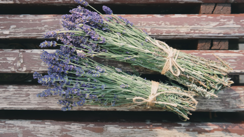 Krémkészítő workshop a Lavender Tihany laborjában 4