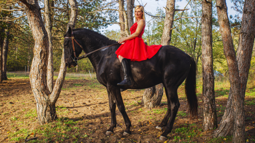 Tűzpirosba öltözött álom – Menyecske fotózás Akhal Teke lovakkal Ópusztaszeren! 2