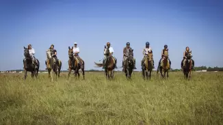 Emese túra - 1 napos túralovaglás Akhal Teke lovakon Ópusztaszeren kosár
