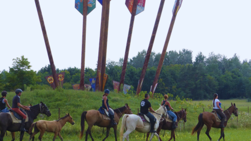 Emese túra - 1 hetes túralovaglás Akhal Teke lovakon Ópusztaszeren 1