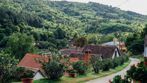 Fedezd fel a Villányi Borvidék legszebb Pincesorát! – Pincejáró túra Villánykövesden 2
